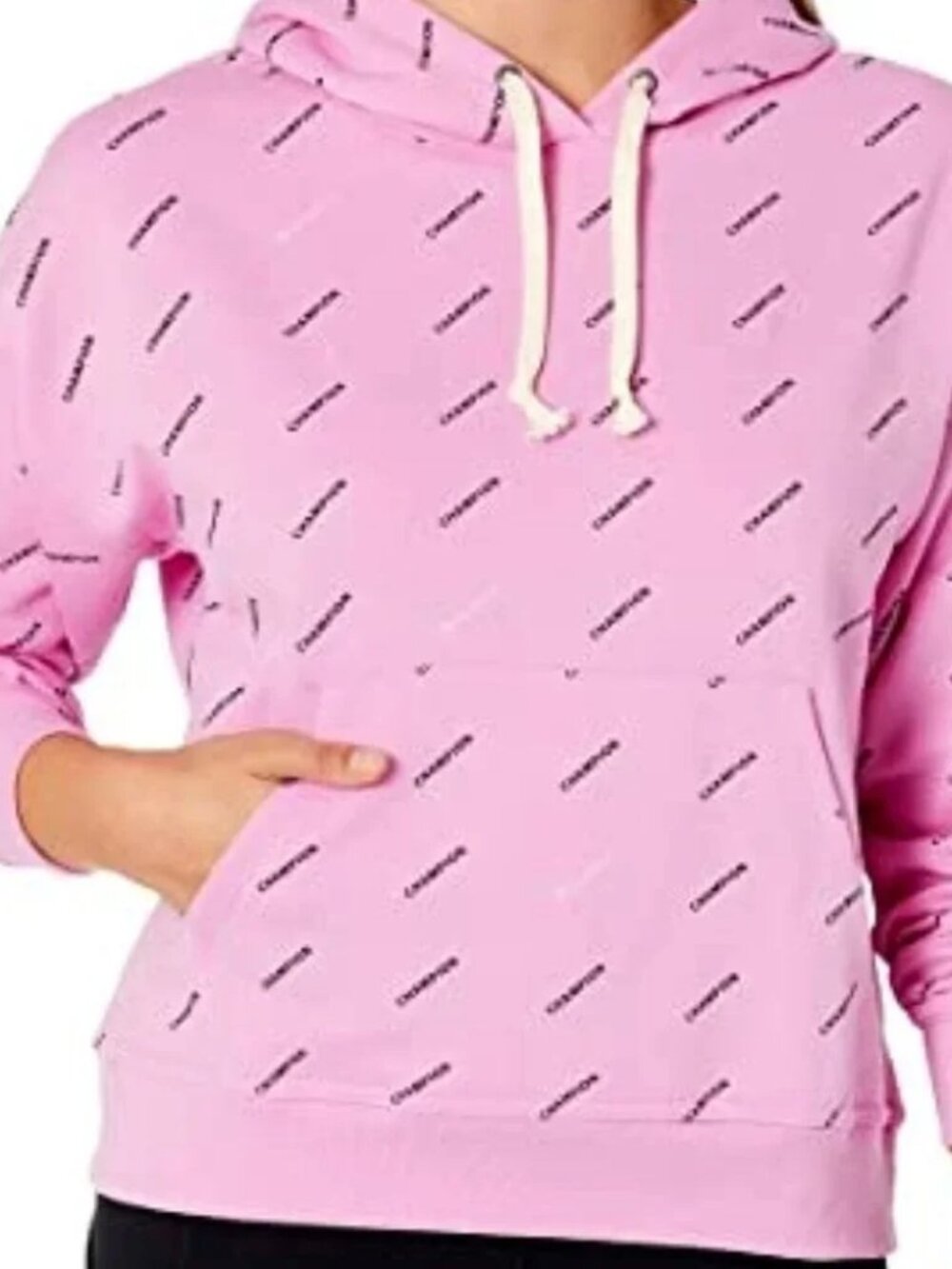 NWT CHAMPION Women Legend Logo Pullover Hoodie Sweatshirt Oversized